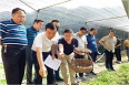 省科學(xué)院柞水縣食用菌基地發(fā)揮科技優(yōu)勢助力省財政廳精準(zhǔn)扶貧工作