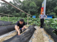 中科院院士張宏福一行調(diào)研山陽(yáng)縣法官鎮(zhèn)精準(zhǔn)脫貧產(chǎn)業(yè)發(fā)展