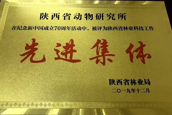 陜西省動(dòng)物研究所榮獲“全省林業(yè)科技工作先進(jìn)集體”榮譽(yù)稱(chēng)號(hào)