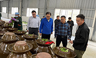 陳怡平一行到紫陽(yáng)落實(shí)省科學(xué)院幫扶科技項(xiàng)目