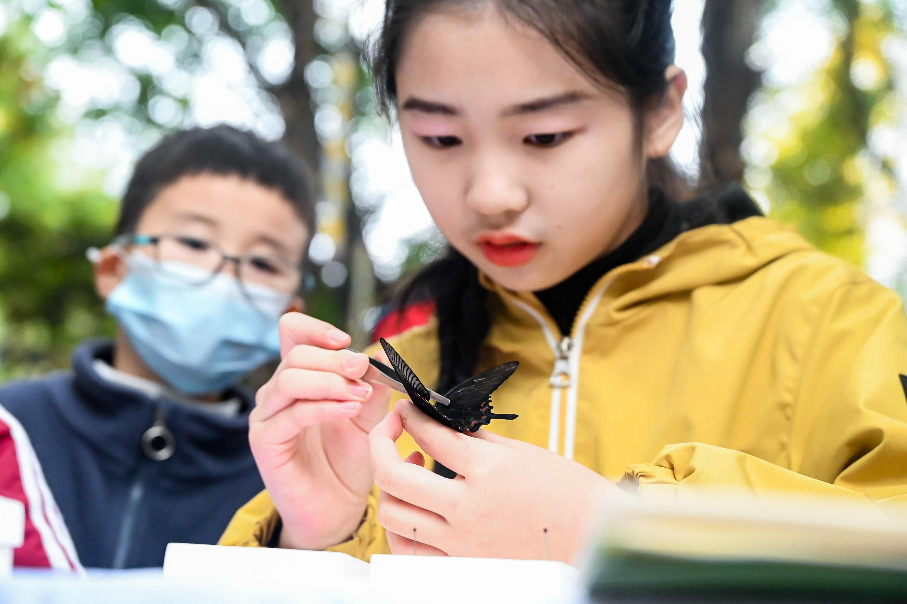 中國科學院2024第七屆科學節(jié)分會場活動在西安舉行