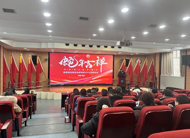 省生物農(nóng)業(yè)研究所召開2024年度工作總結(jié)會(huì)